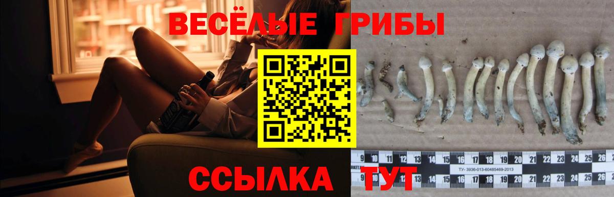 Псилоцибиновые грибы MAGIC MUSHROOMS Джанкой